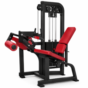 Seated Leg Curl